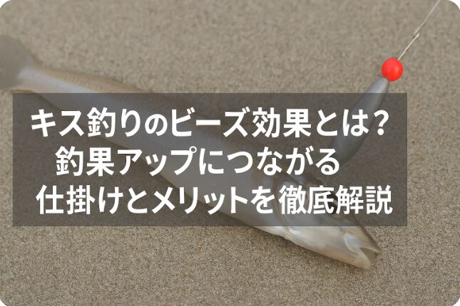 キス釣りにおけるビーズ仕掛けとその効果を解説するサムネイル画像