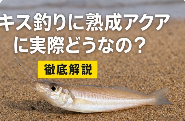 キス釣りに熟成アクアは実際どうなの？徹底解説 - キス釣り初心者から経験者まで必見の実釣レビューと使い方ガイドの画像